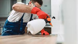 Best Pest Control for Multi-Family Homes  in Briar Chapel, NC